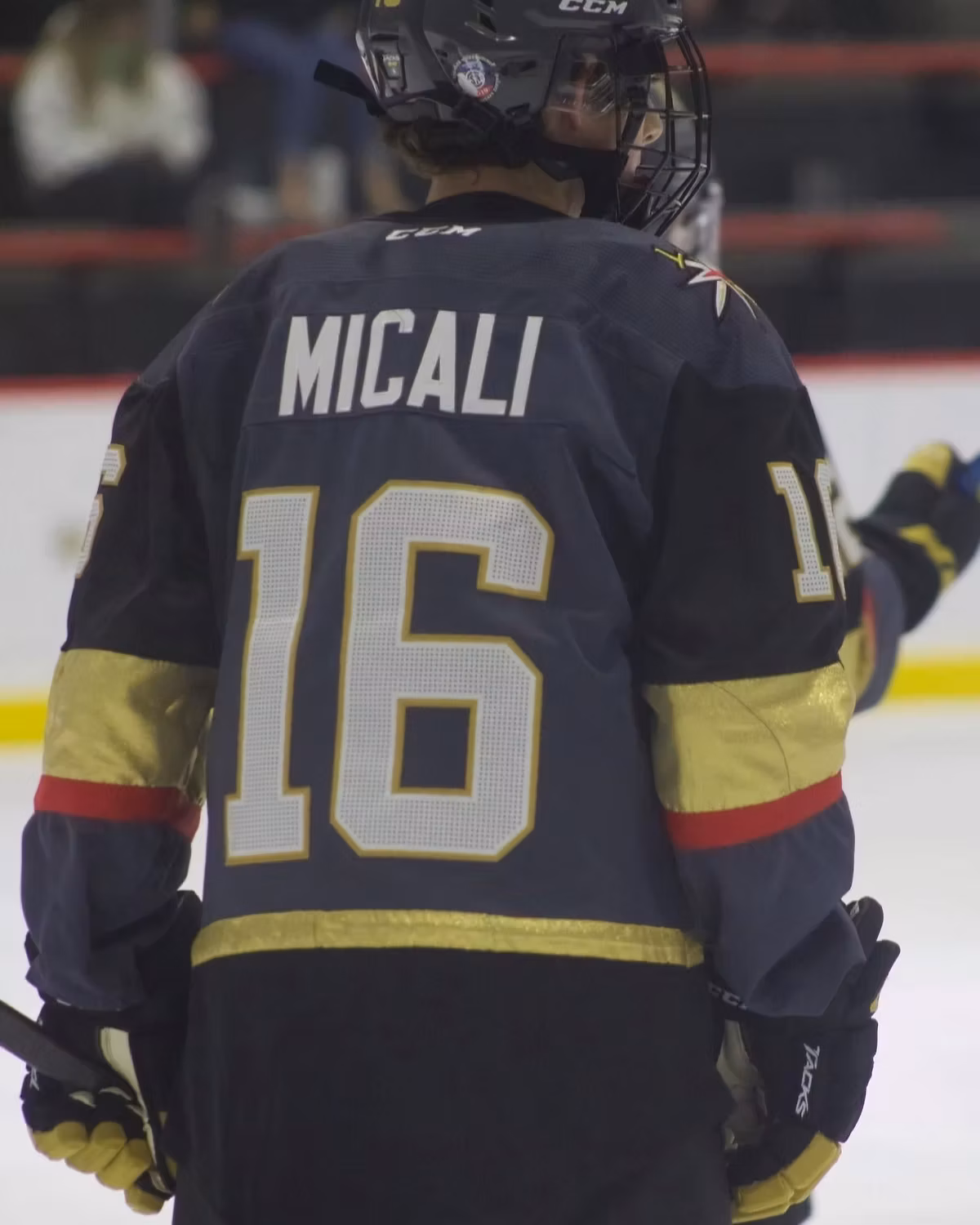 Joey Micali headshot