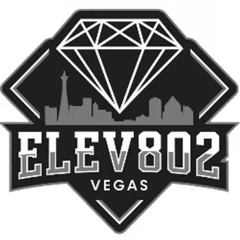 Natalya Loktionova-Manning — ELEV802 Vegas hockey coach
